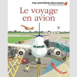 Voyage en avion (le)