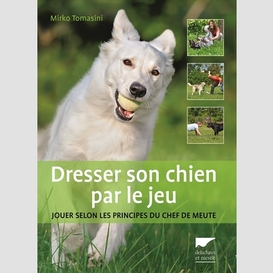 Dresser son chien par le jeu