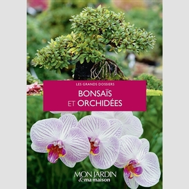 Bonsai et orchidees