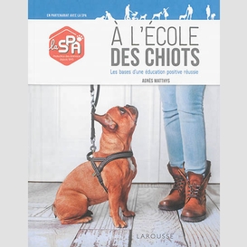 A l'ecole des chiots