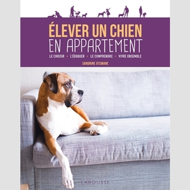 Elever un chien en appartement