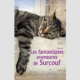 Fantastiques aventures de surcouf