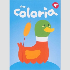 Viva coloria 4+ canard