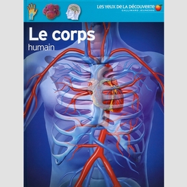 Corps humain (le)