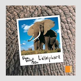 Elephant (l')