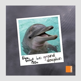 Grand dauphin (le)