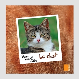 Chat (le)