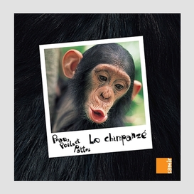 Chimpanze (le)