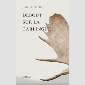 Debout sur la carlingue