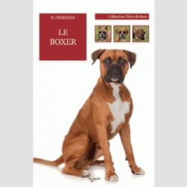 Boxer (le)