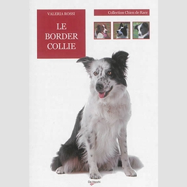 Border collie (le)