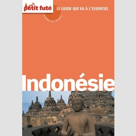 Indonesie 2015 (mini fute