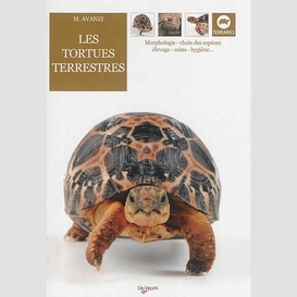 Tortues terrestres (les)