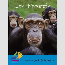 Chimpanzes (les)