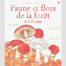 Faune et flore de la foret a colorier