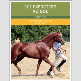 101 exercices au sol