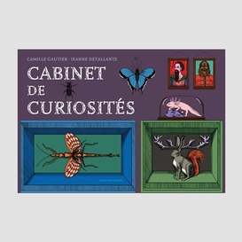 Cabinet de curiosites