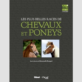 Races chevaux et poneys