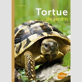 Tortue de jardin