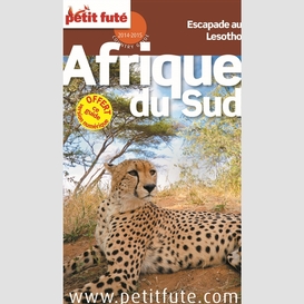 Afrique du sud