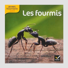 Fourmis (les) cycle 2