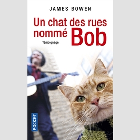 Un chat des rues nomme bob