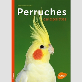 Perruches calopsittes