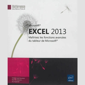 Excel 2013