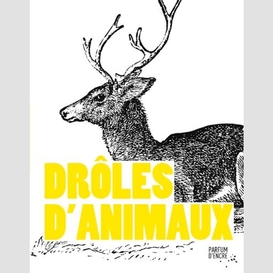 Droles d'animaux