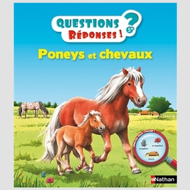 Poneys et chevaux 4+