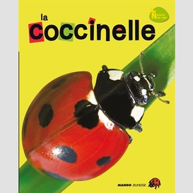 Coccinelle la