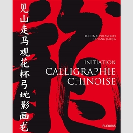 Initiation calligraphie chinoise