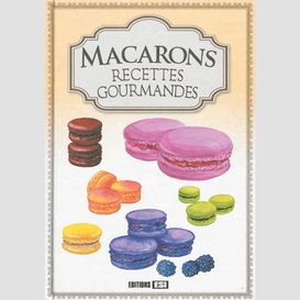 Macarons recettes gourmandes