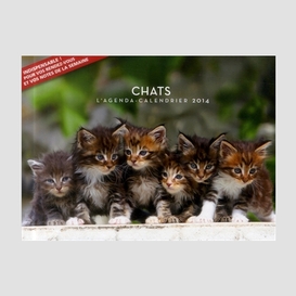 Agenda calendrier 2014 chats