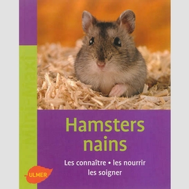 Hamsters nains