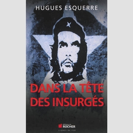 Dans la tete des insurges