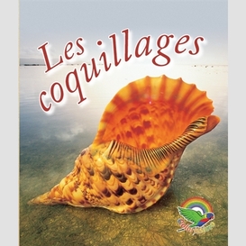 Les coquillages, serie bleue 1, ens.6