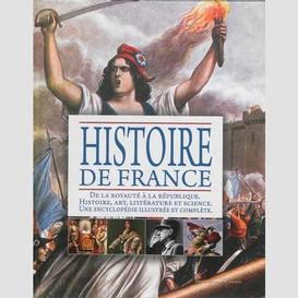 Histoire de france (petit format)