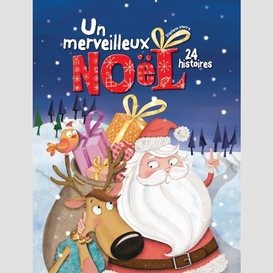 Un merveilleux noel -24 histoires