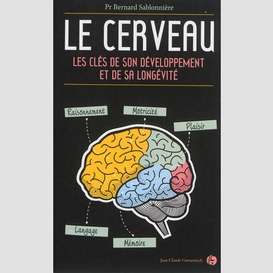 Cerveau (le)