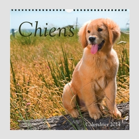 Calendrier chiens 2014