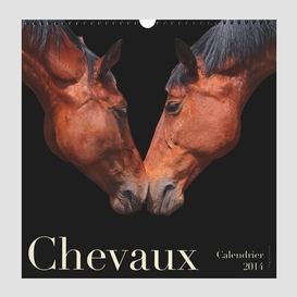 Calendriers chevaux 2014