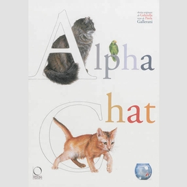 Alpha chat