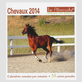 Chevaux 2014 semainiers