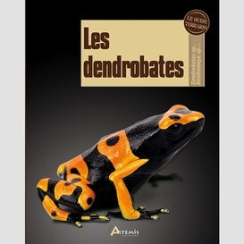 Dendrobates (les)