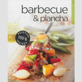 Barbecue et plancha