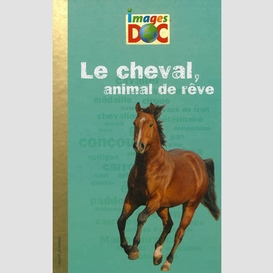 Cheval animal de reve (le)