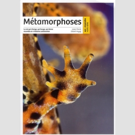 Metamorphoses hors-serie