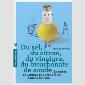 Du sel du citron du vinaigre bicarbonate