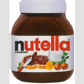 Grand livre de recettes nutella